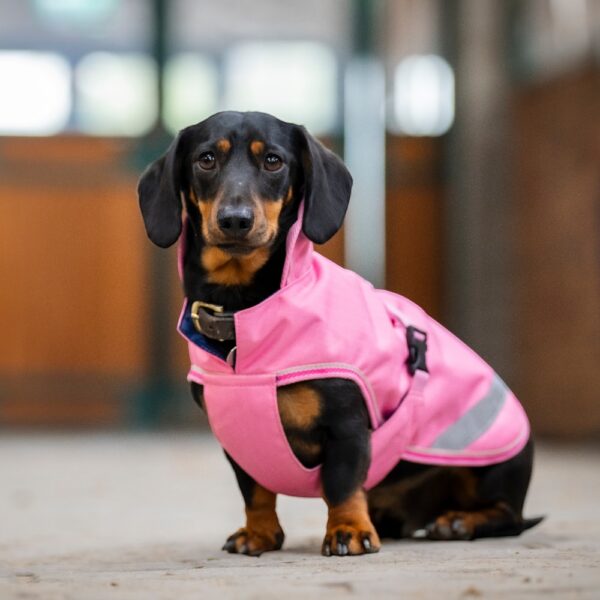 Bucas Hondendeken Freedom Aurora Pink