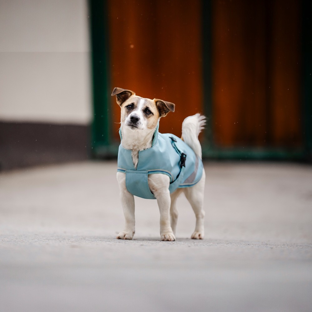 Bucas Hondendeken Freedom Turqoise