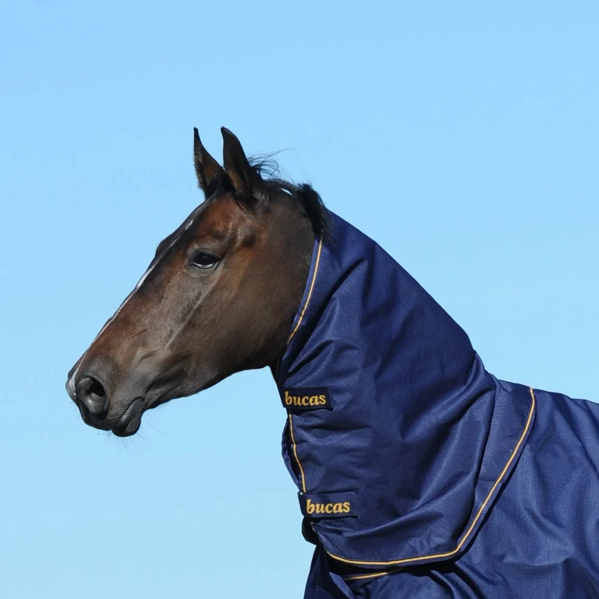 Bucas Irish Turnout Combi Neck 300gr