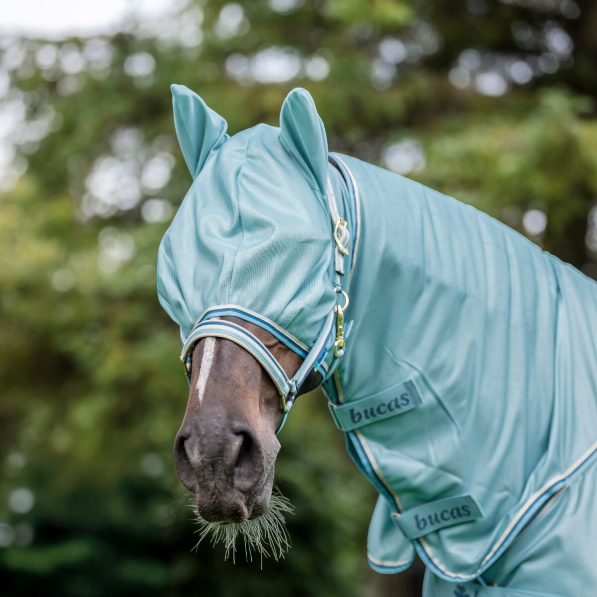 Bucas vliegenmasker Freedom Turqoise