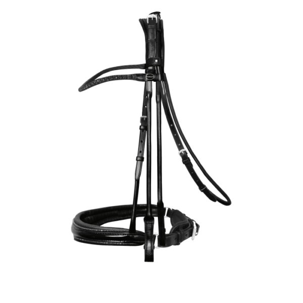 Passier Stang&Trens Hoofdstel Highscore