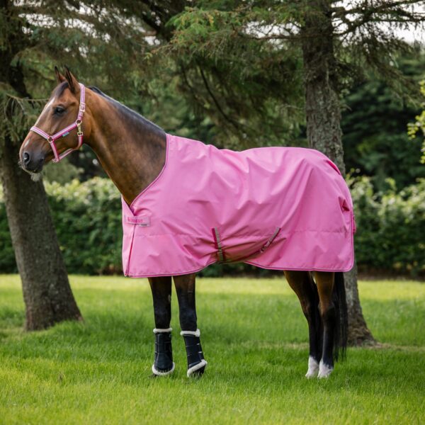 Bucas, Bucas Freedom Turnout Light, Bucas Freedom Turnout Light 0g Turquoise, regendeken paard, turnout deken, 0 grams deken, zomer deken paard, waterdichte paardendeken, ademende paardendeken, 600D ripstop deken, Bucas paardendeken, lichte weidedeken, paarden deken buiten, paardendeken zonder vulling, turquoise paardendeken.