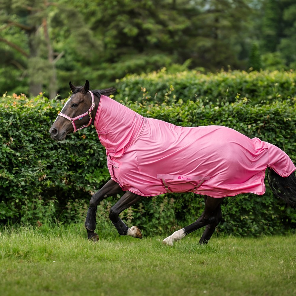Bucas Vliegendeken Freedom Vaste hals Aurora Pink