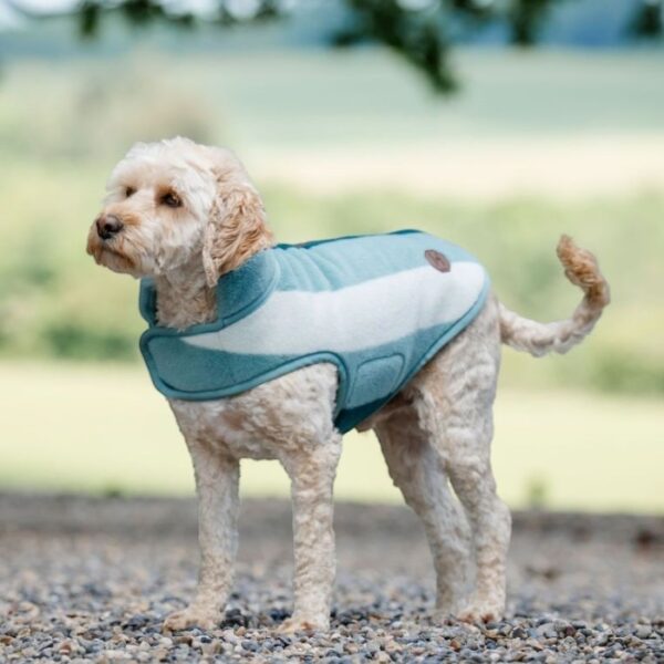 Horseware Hondendeken Newmarket Fleece Witney Dynasty