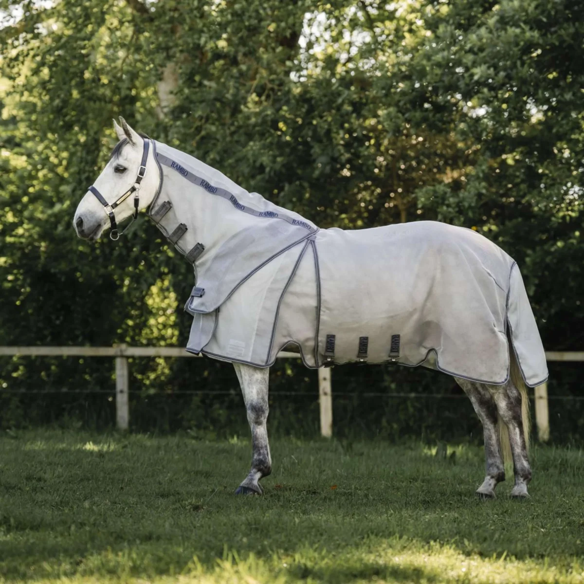 Rambo Optimo Protector Plus Vliegendeken