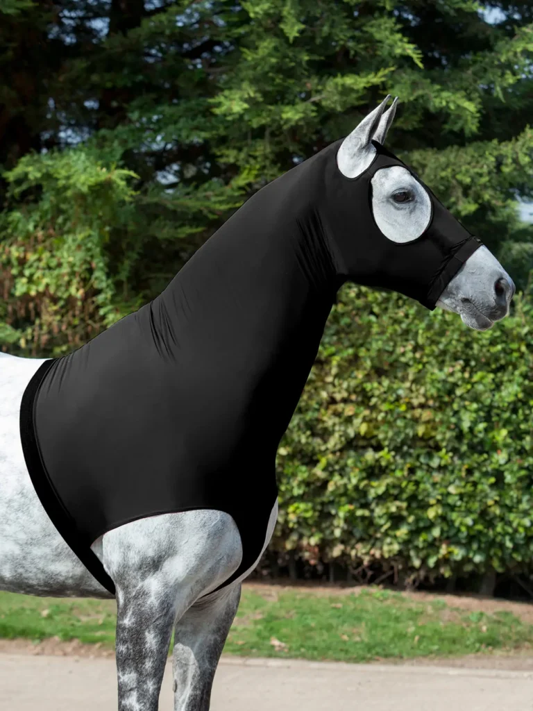LeMieux Hals Stretch Hood Zwart