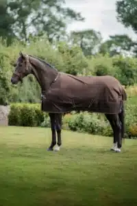 Bucas Irish Turnout 300 + Neck Set Espresso
