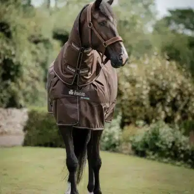 Bucas Irish Turnout 300 + Neck Set Espresso