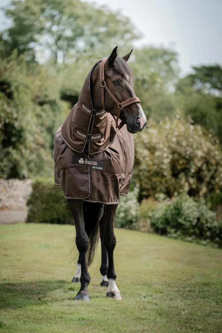 Bucas Irish Turnout 300 + Neck Set Espresso