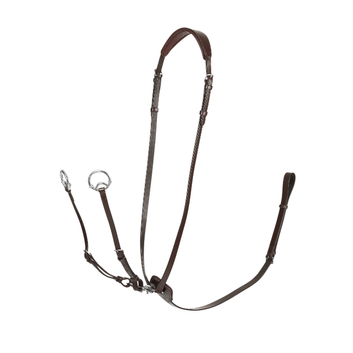 LeMieux Running Martingaal Kudos