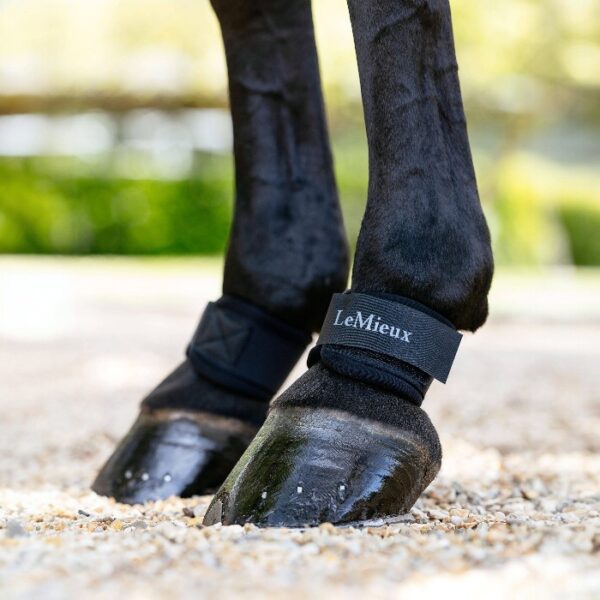 LeMieux kootbeschermers neopreen
