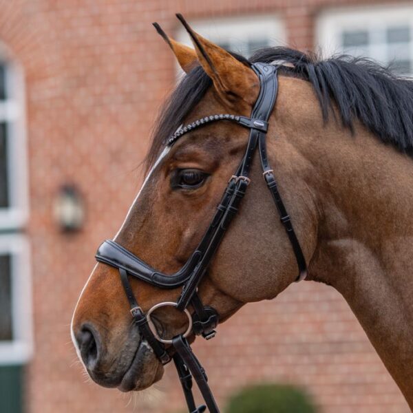 Passier Hoofdstel MOVE by Julia Krajewski