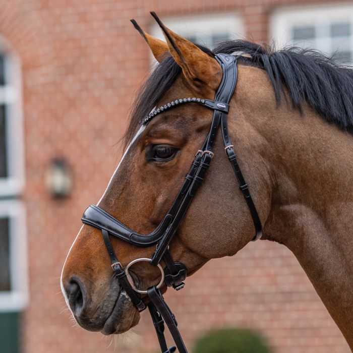 Passier Hoofdstel MOVE by Julia Krajewski