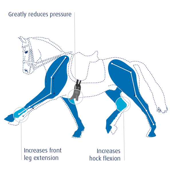 Prolite Dressuursingel Classic
