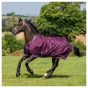 Bucas Freedom Turnout Light 0g Blackberry