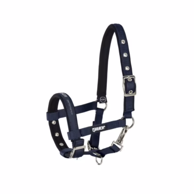 Eskadron veulen halster Blauw