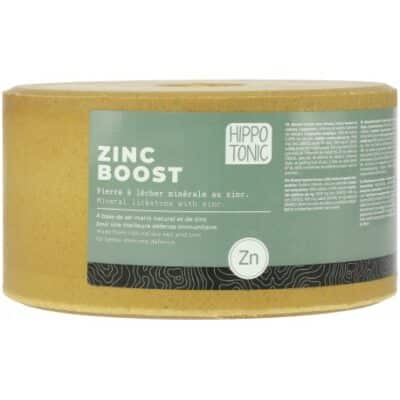 Hippotonic Liksteen Zincboost Block