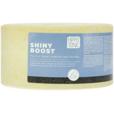 Hippotonic Liksteen Shiny Boost