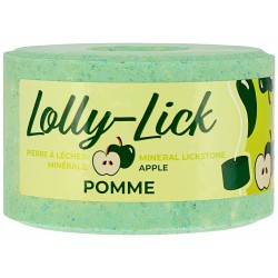 Hippotonic Zoutsteen LOLLY-LICK Appel