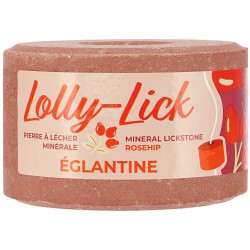 Hippotonic Zoutsteen LOLLY-LICK Rozenbottel