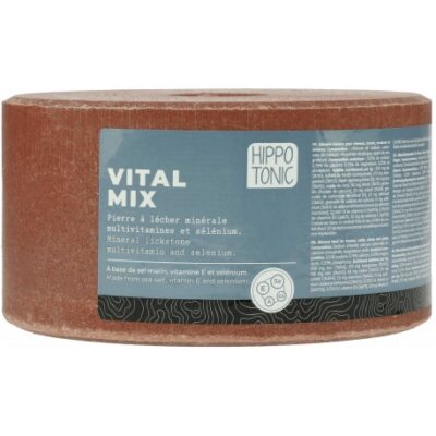 Hippotonic Liksteen Vitalmix Salt