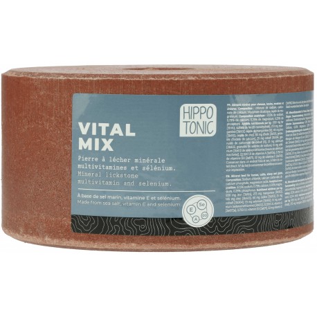 Hippotonic Liksteen Vitalmix Salt