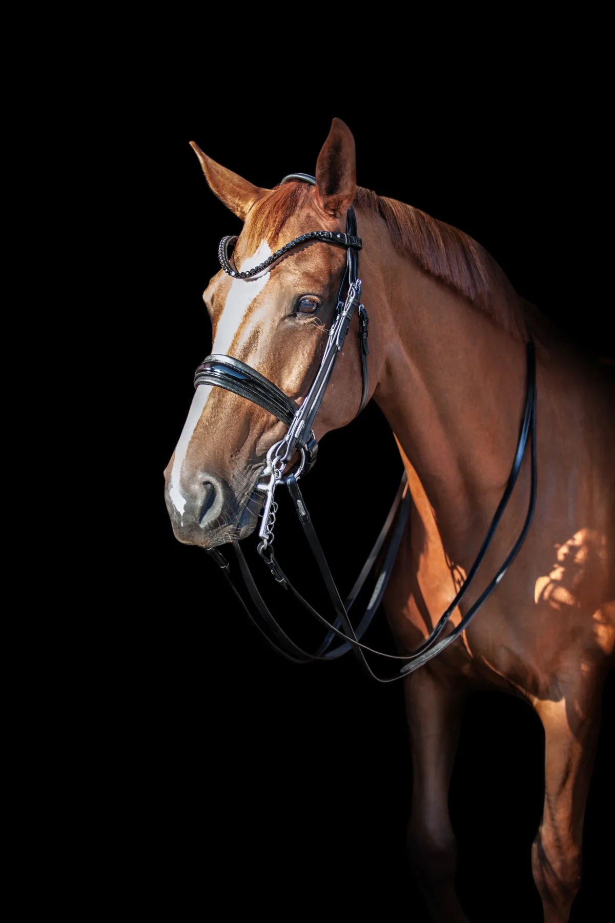 Utzon Stang & Trens Hoofdstel Essentials