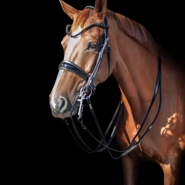 Utzon Stang & Trens Hoofdstel Essentials