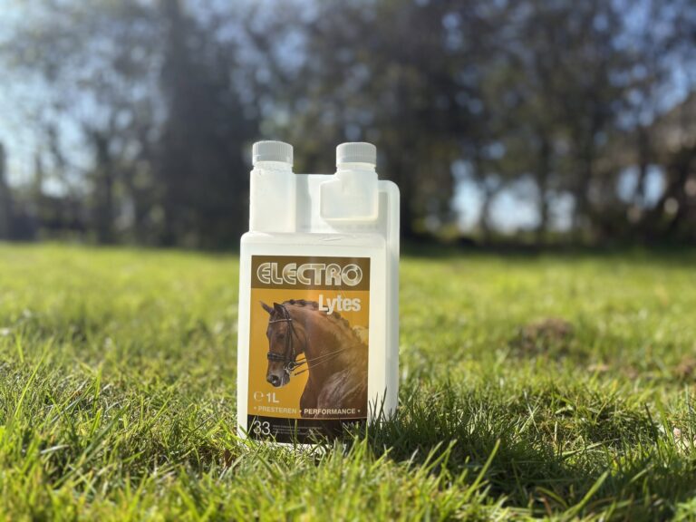 elektrolyten supplement paard