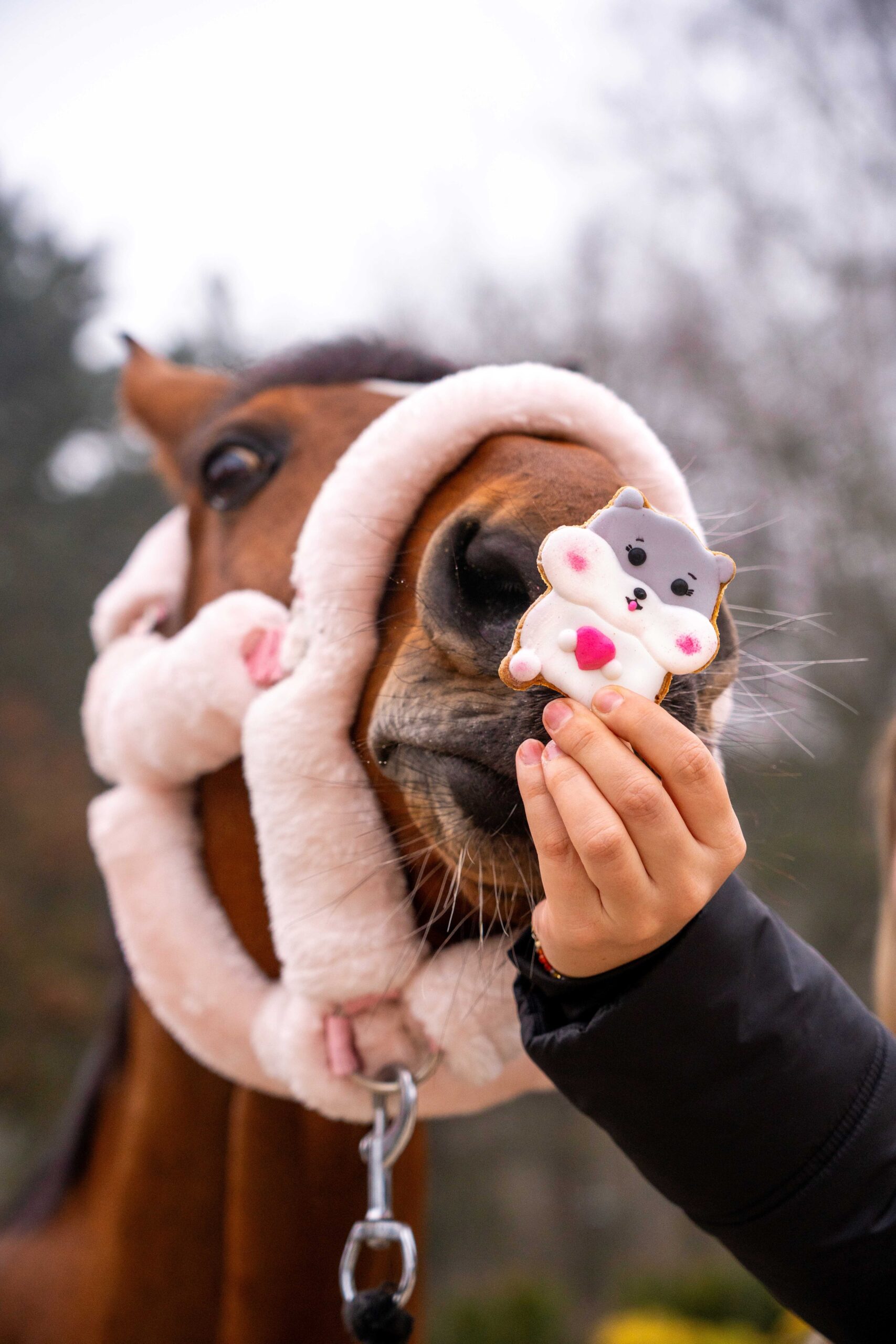 Candy Horse Love set of cookies
