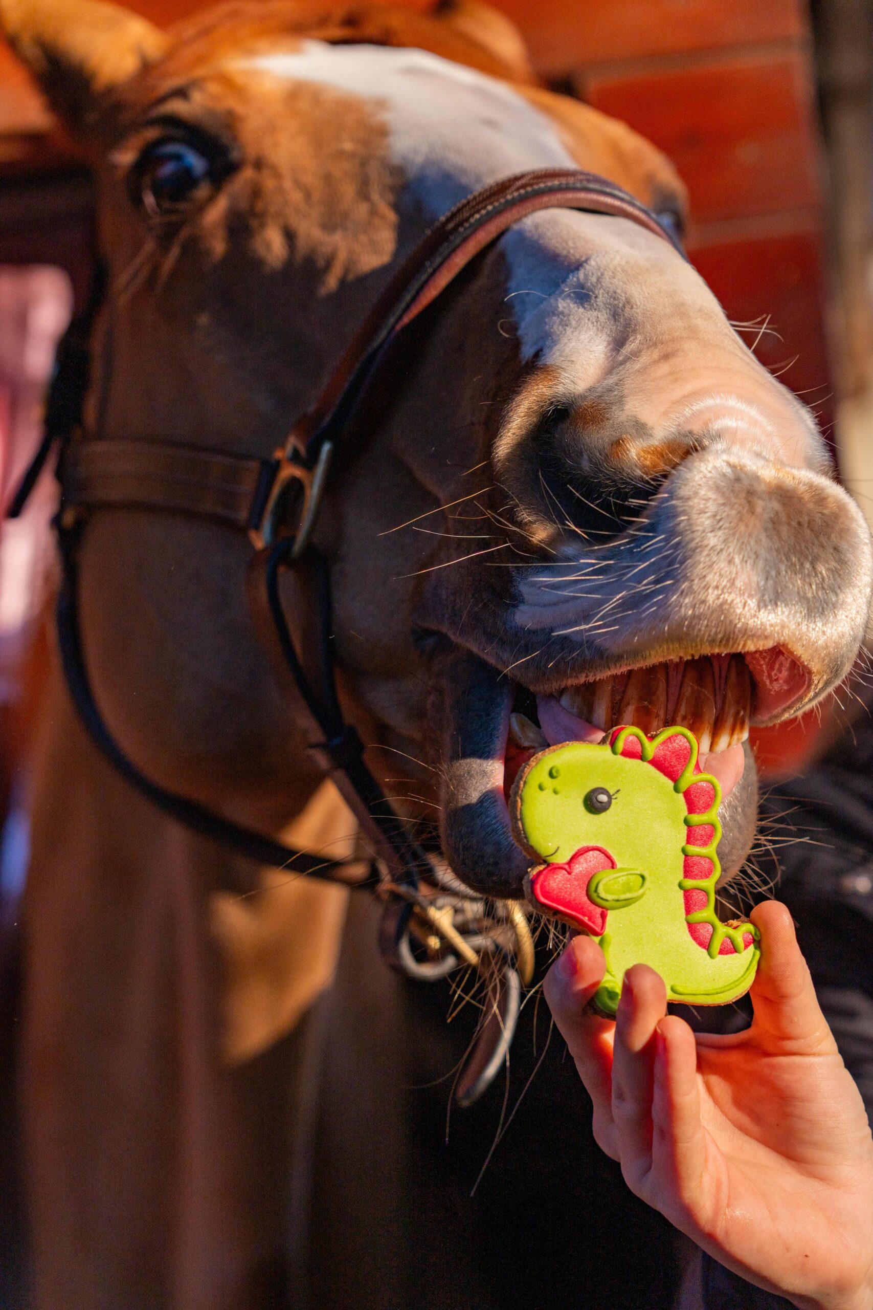 Candy Horse Love set of cookies - Afbeelding 6