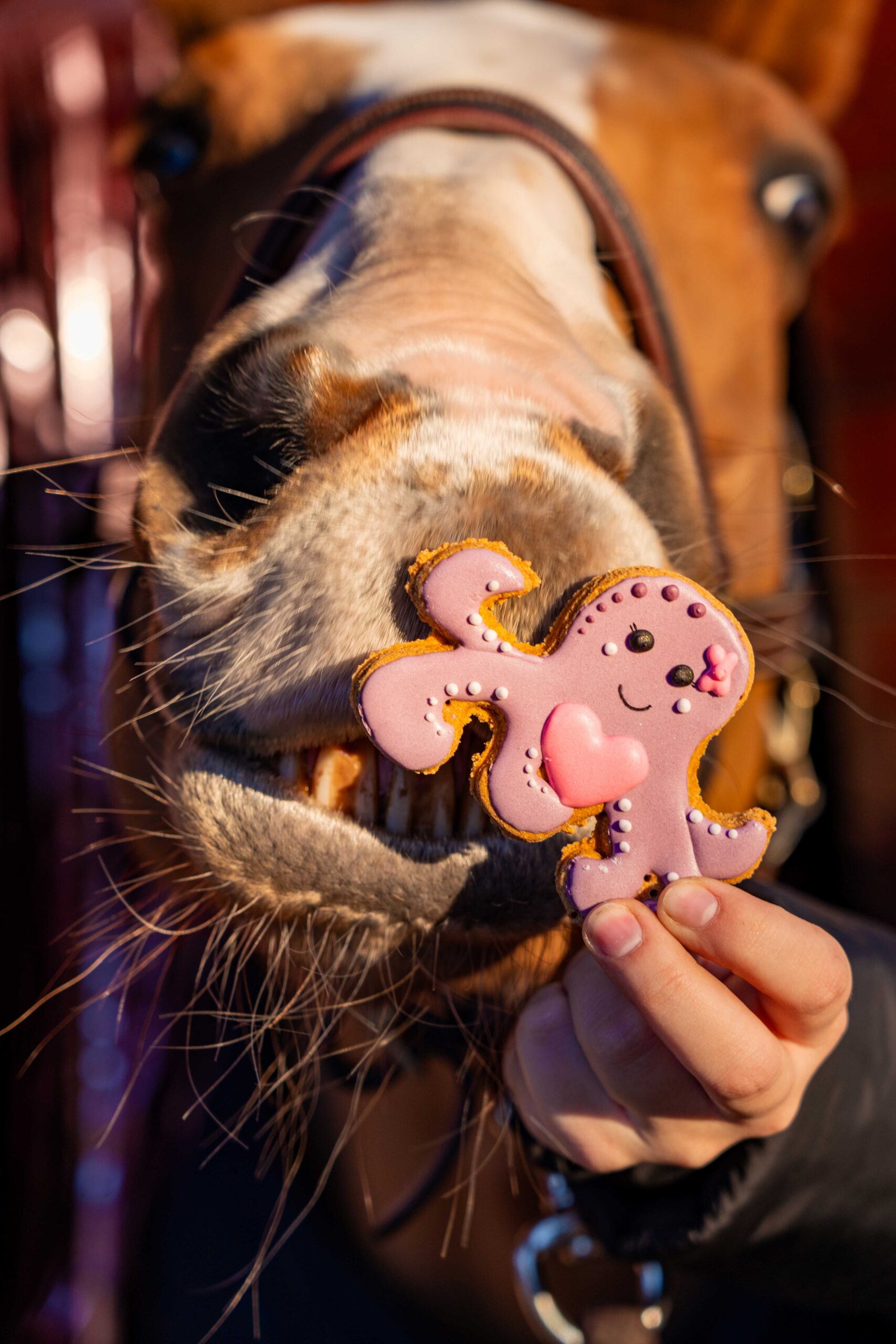 Candy Horse Love set of cookies - Afbeelding 5