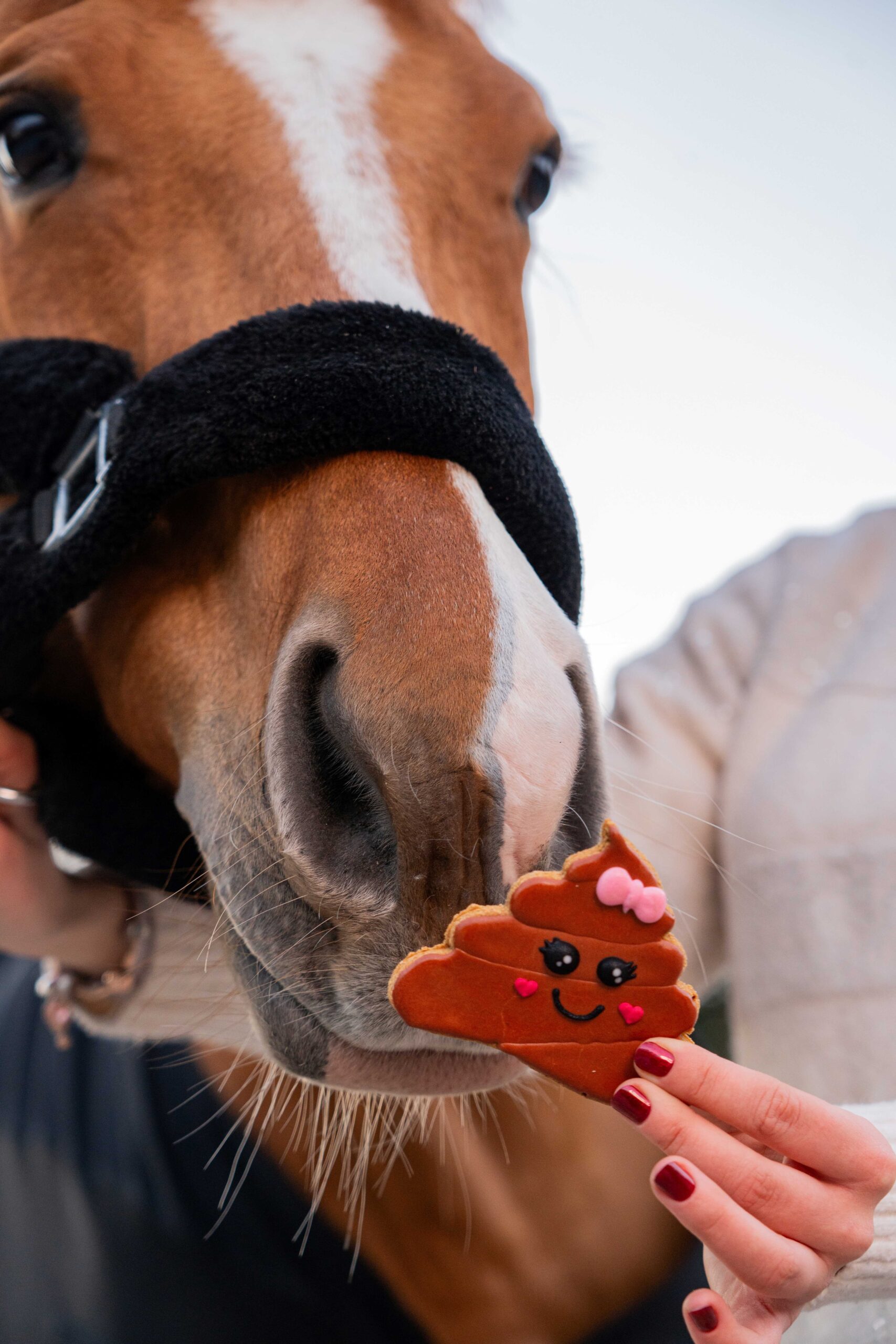 Candy Horse Love set of cookies - Afbeelding 4