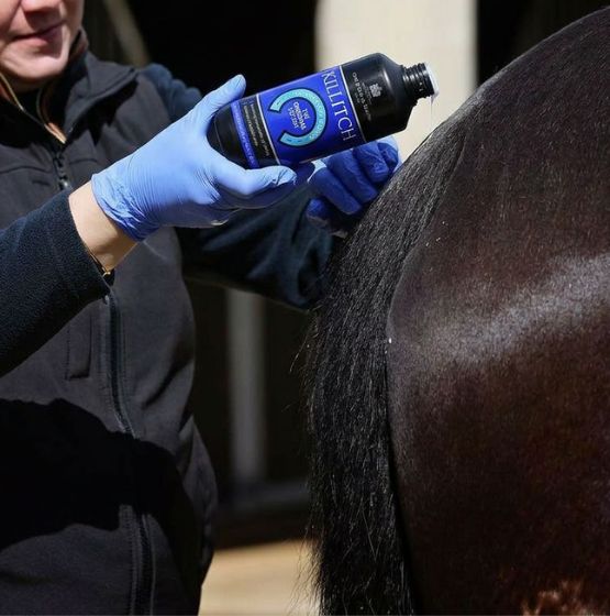jeuk paard