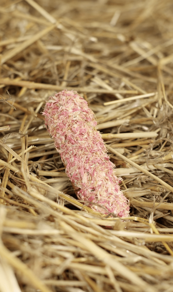 Candy Horse Roze korenbloem éclair