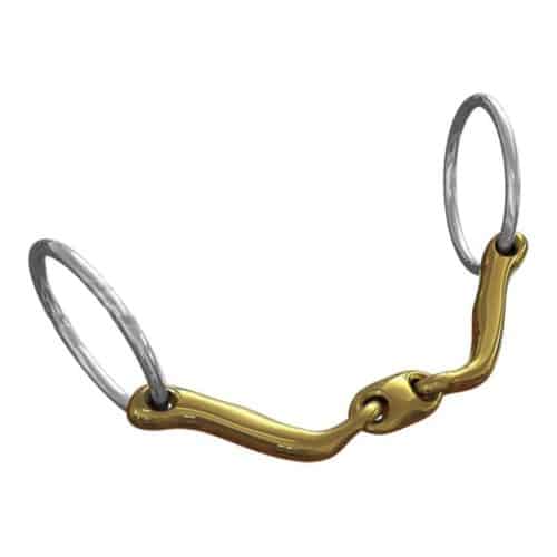 Neue Schule Verbindend Watertrens