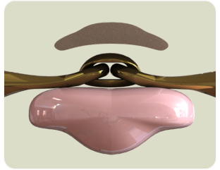 Neue Schule Turtle Tactio Bustrens - Afbeelding 3
