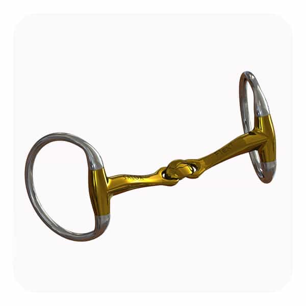 Neue Schule Turtle Tactio Bustrens