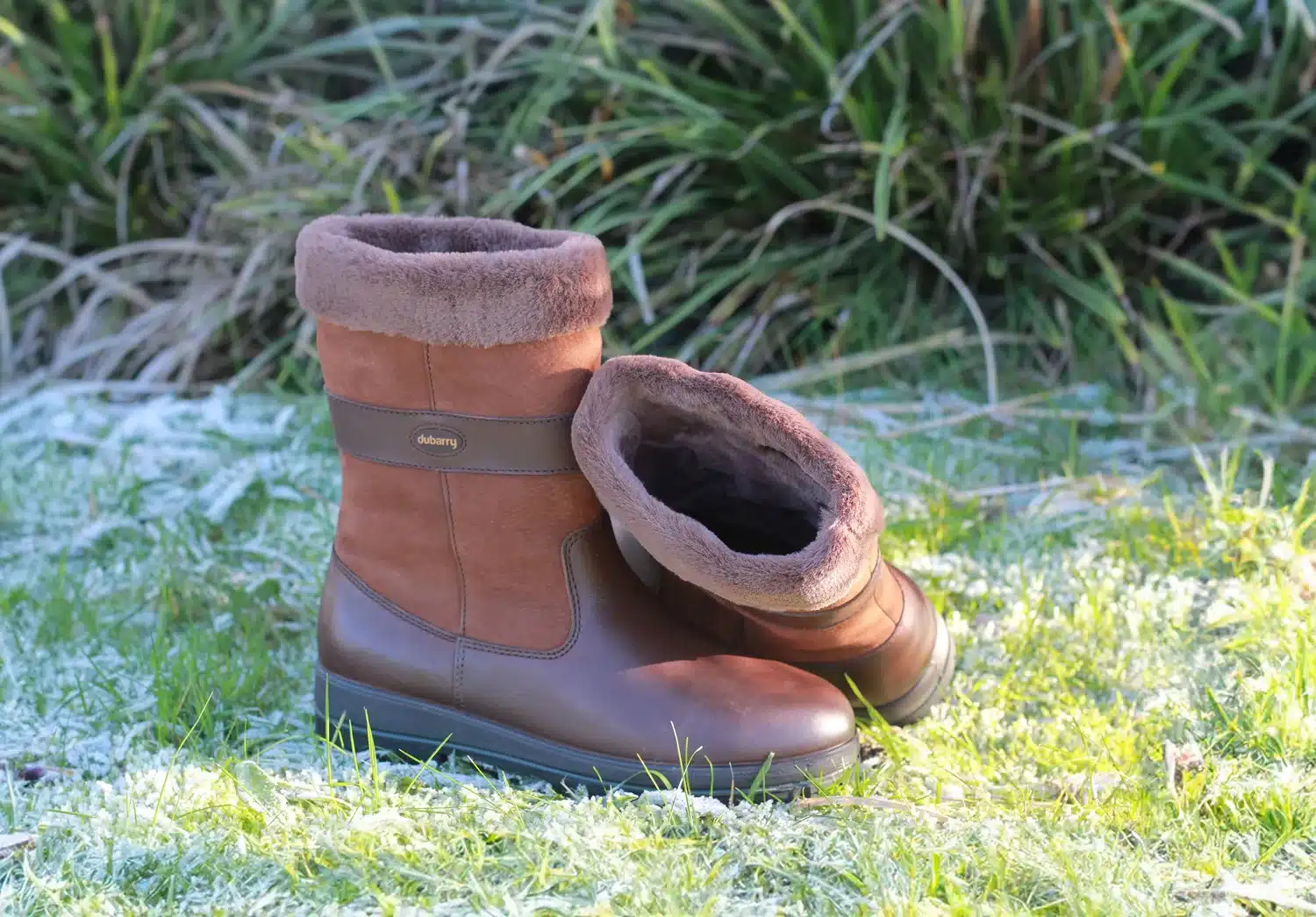 Dubarry Laarzen Foxrock Walnut
