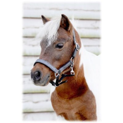 HB Halster Glitter shine little sizes