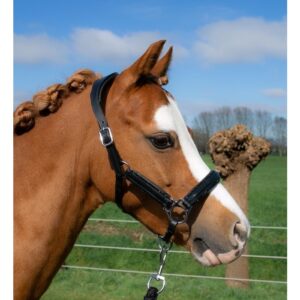 HB Showtime halsters little sizes leder glitty