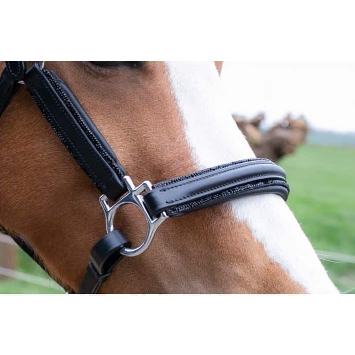 HB Showtime halsters little sizes leder glitty