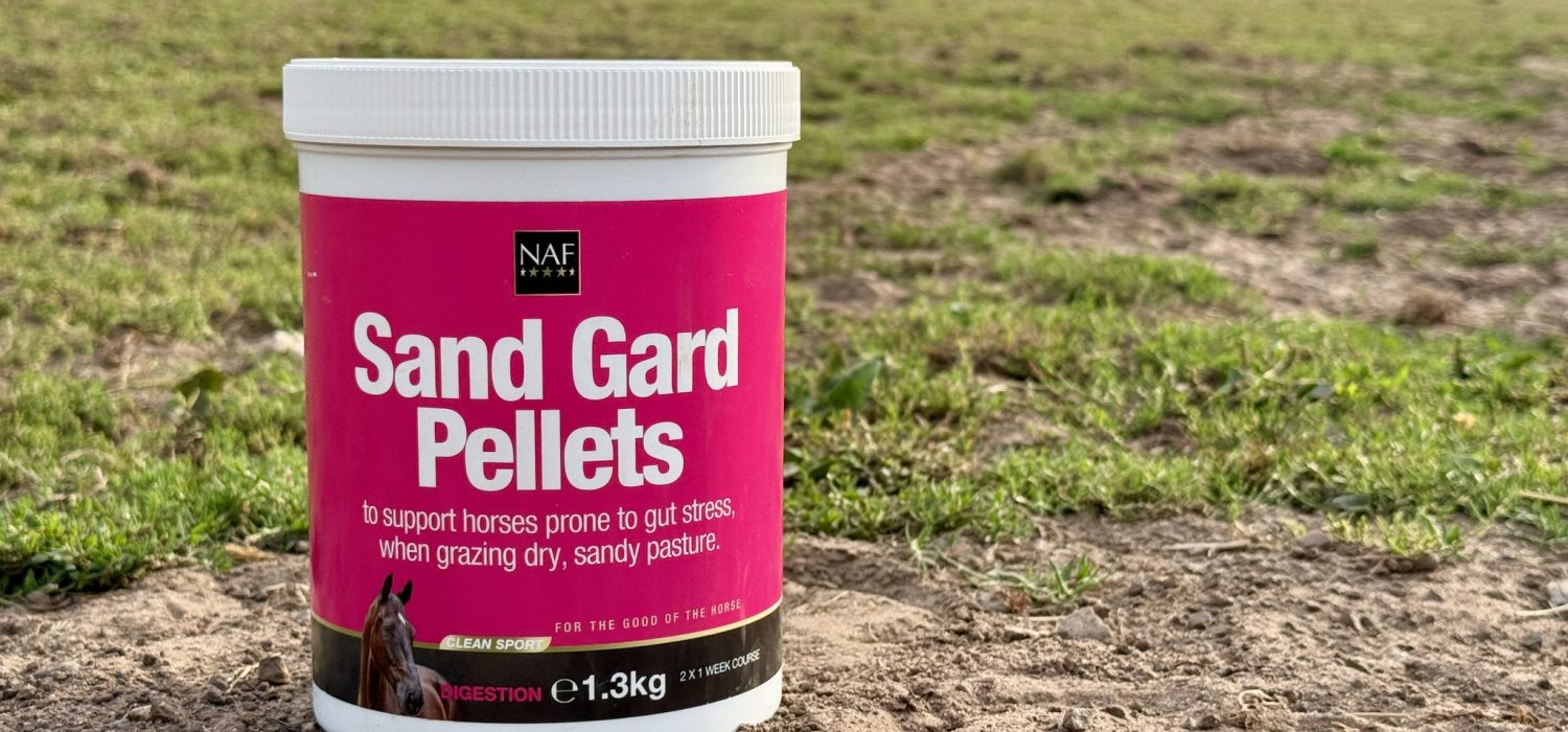 Paard eet zand oorzaken en oplossingen