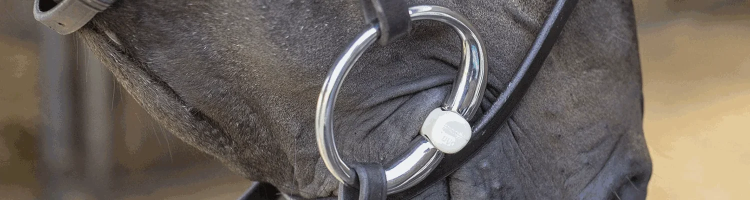 Welk bit bij onrustige aanleuning?