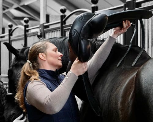 zadelpasservice ilona